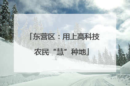 东营区：用上高科技 农民“慧”种地