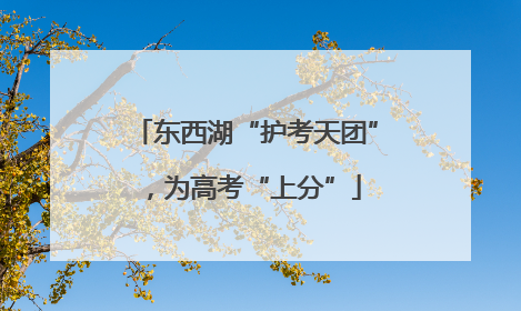 东西湖“护考天团”，为高考“上分”