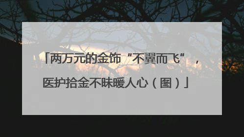 两万元的金饰“不翼而飞”，医护拾金不昧暖人心（图）