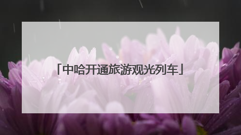 中哈开通旅游观光列车