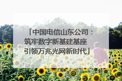 中国电信山东公司：筑牢数字新基建基座 引领万兆光网新时代