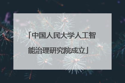 中国人民大学人工智能治理研究院成立