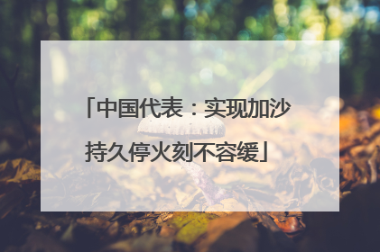 中国代表：实现加沙持久停火刻不容缓