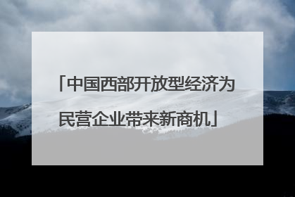 中国西部开放型经济为民营企业带来新商机