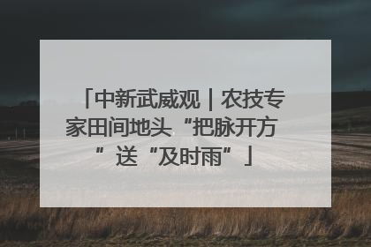 中新武威观｜农技专家田间地头“把脉开方”送“及时雨”