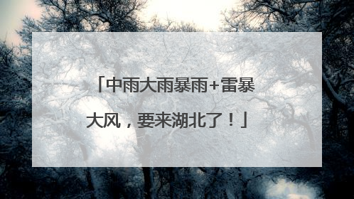 中雨大雨暴雨+雷暴大风，要来湖北了！