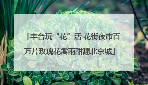 丰台玩“花”活 花街夜市百万片玫瑰花瓣雨甜翻北京城