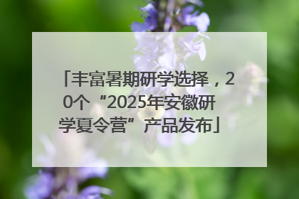 丰富暑期研学选择，20个“2025年安徽研学夏令营”产品发布