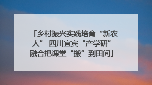 乡村振兴实践培育“新农人” 四川宜宾“产学研”融合把课堂“搬”到田间
