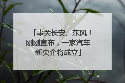 事关长安、东风！刚刚宣布，一家汽车新央企将成立