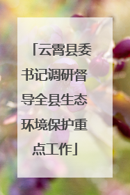 云霄县委书记调研督导全县生态环境保护重点工作