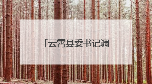 云霄县委书记调研基层党建工作
