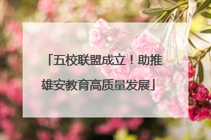 五校联盟成立！助推雄安教育高质量发展