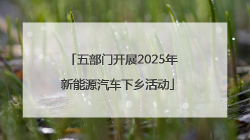 五部门开展2025年新能源汽车下乡活动