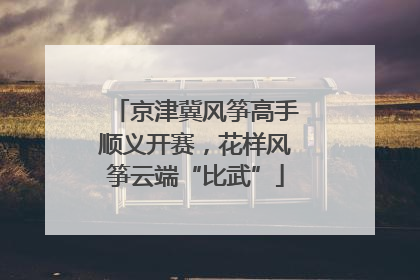 京津冀风筝高手顺义开赛，花样风筝云端“比武”