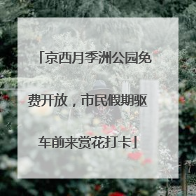 京西月季洲公园免费开放，市民假期驱车前来赏花打卡
