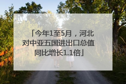今年1至5月，河北对中亚五国进出口总值同比增长1.1倍