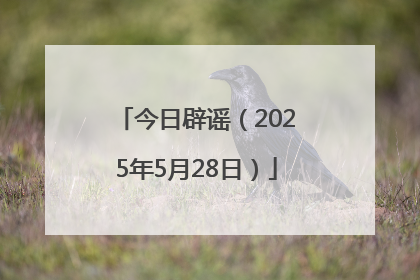 今日辟谣（2025年5月28日）