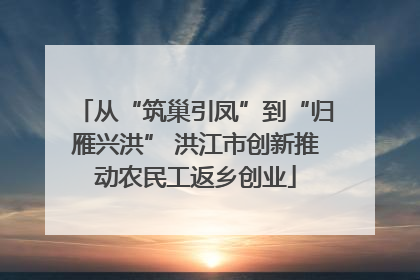从“筑巢引凤”到“归雁兴洪” 洪江市创新推动农民工返乡创业
