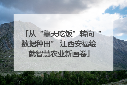 从“靠天吃饭”转向“数据种田” 江西安福绘就智慧农业新画卷