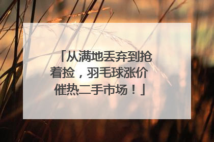 从满地丢弃到抢着捡，羽毛球涨价催热二手市场！