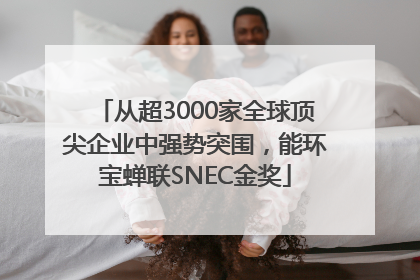 从超3000家全球顶尖企业中强势突围，能环宝蝉联SNEC金奖