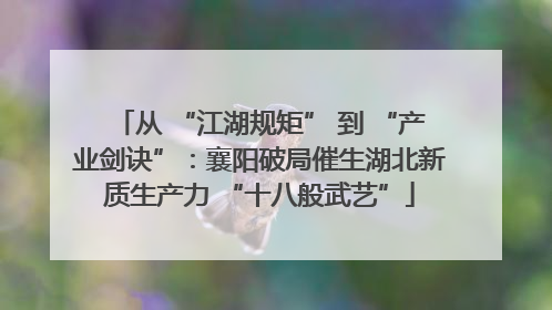 从 “江湖规矩” 到 “产业剑诀”：襄阳破局催生湖北新质生产力 “十八般武艺”