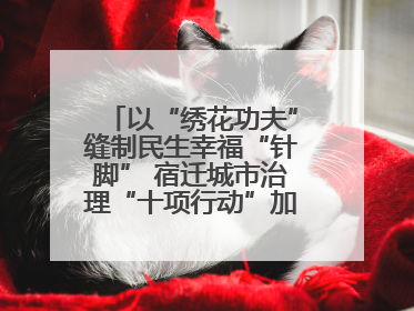 以“绣花功夫”缝制民生幸福“针脚” 宿迁城市治理“十项行动”加速落地