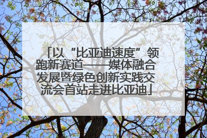 以“比亚迪速度”领跑新赛道——媒体融合发展暨绿色创新实践交流会首站走进比亚迪