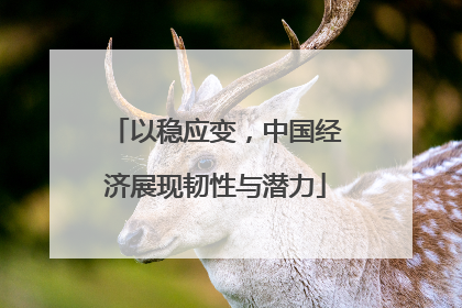 以稳应变，中国经济展现韧性与潜力