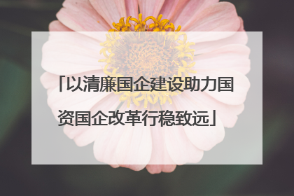 以清廉国企建设助力国资国企改革行稳致远