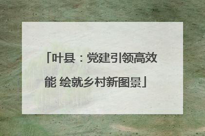 叶县：党建引领高效能 绘就乡村新图景