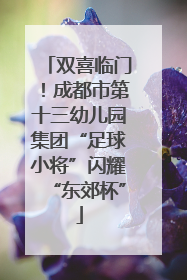 双喜临门！成都市第十三幼儿园集团“足球小将”闪耀“东郊杯”