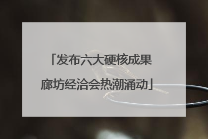 发布六大硬核成果 廊坊经洽会热潮涌动