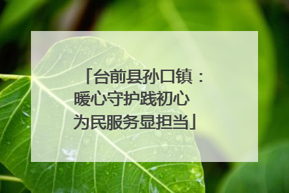 台前县孙口镇：暖心守护践初心 为民服务显担当