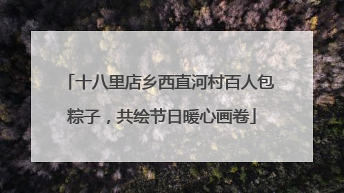 十八里店乡西直河村百人包粽子，共绘节日暖心画卷