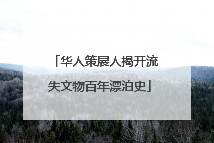 华人策展人揭开流失文物百年漂泊史