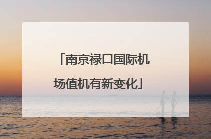 南京禄口国际机场值机有新变化