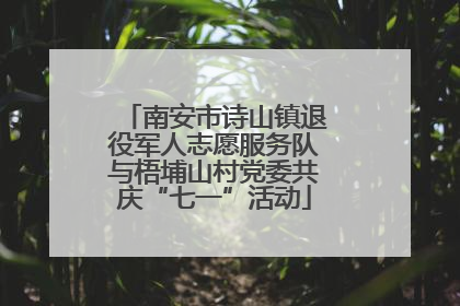 南安市诗山镇退役军人志愿服务队与梧埔山村党委共庆“七一”活动