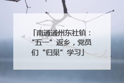 南通通州东社镇：“五一”返乡，党员们“归巢”学习