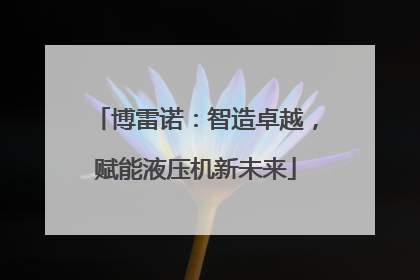 博雷诺：智造卓越，赋能液压机新未来