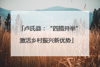 卢氏县：“四措并举”激活乡村振兴新优势
