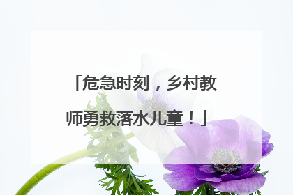 危急时刻，乡村教师勇救落水儿童！