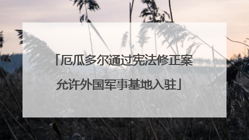 厄瓜多尔通过宪法修正案 允许外国军事基地入驻