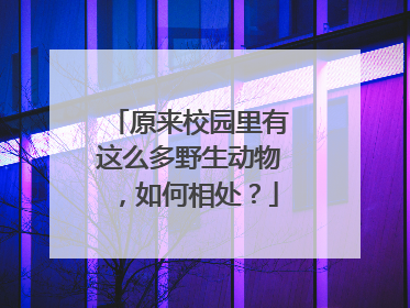 原来校园里有这么多野生动物，如何相处？