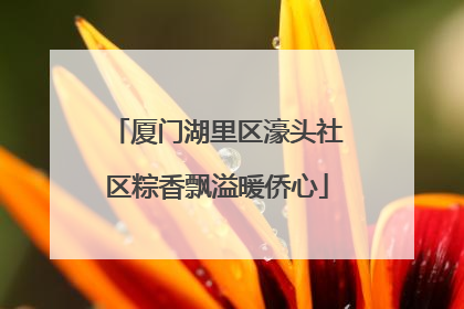 厦门湖里区濠头社区粽香飘溢暖侨心