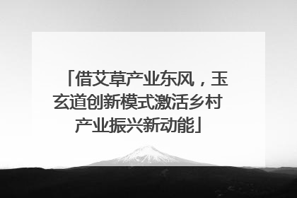 借艾草产业东风，玉玄道创新模式激活乡村产业振兴新动能