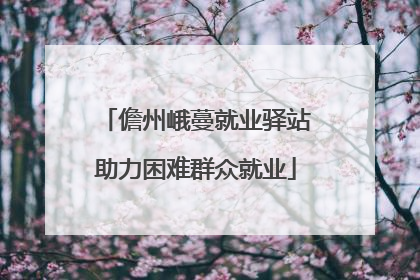 儋州峨蔓就业驿站助力困难群众就业