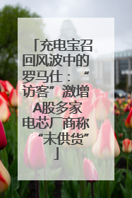 充电宝召回风波中的罗马仕：“访客”激增 A股多家电芯厂商称“未供货”