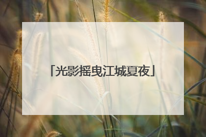 光影摇曳江城夏夜